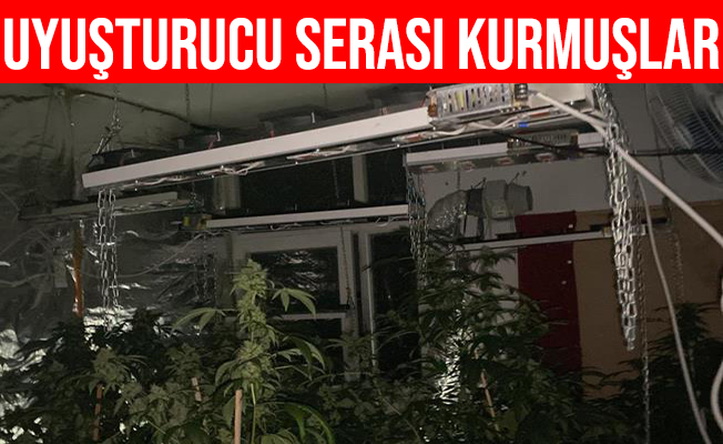 Baba Oğul Uyuşturucu Serası Kurmuşlar