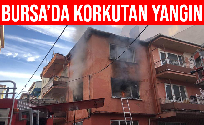 Bursa Gemlik'teki yangın kortkuttu