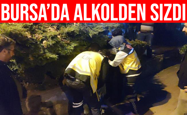 Bursa İznik'te Alkollü Genç Çalılıkların Arasında Sızıp Kaldı