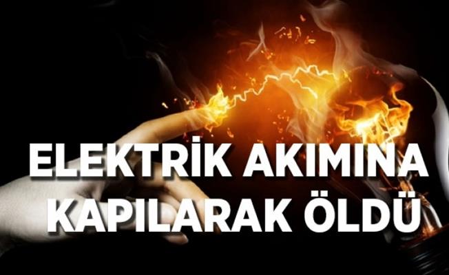 Gemlik'te zeytin eleğinden çıkan elektrik kaçağı canından etti