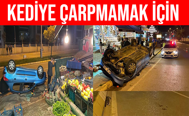 İzmit'te Kediyi Ezmemek İçin Manevra Yapınca Takla Attı