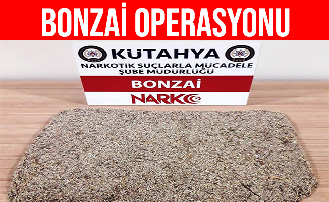 Kütahya’daki Operasyonda Bonzai Maddesi Ele Geçirildi