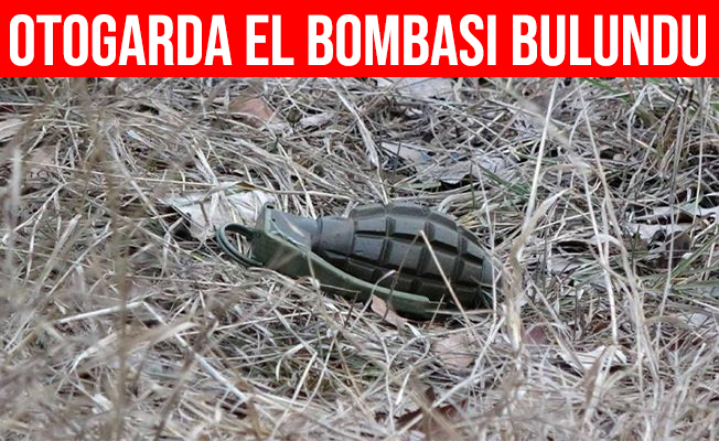 Şanlıurfa'da Otogardaki Çöp Konteynerinden El Bombası Çıktı