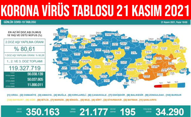 Türkiye Korona Virüs Tablosu 22 Kasım 2021