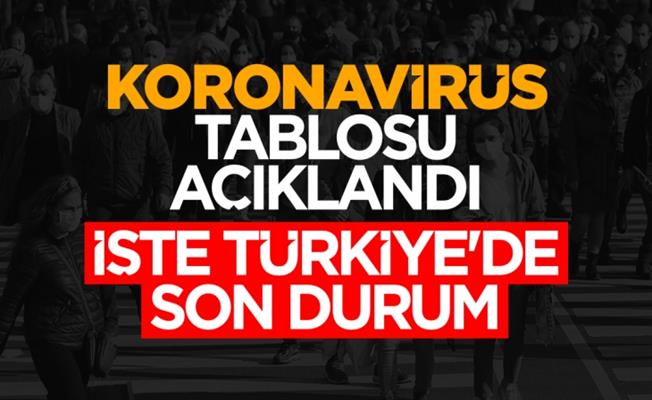 Türkiye Korona Virüs Tablosu: 24 Kasım 2021