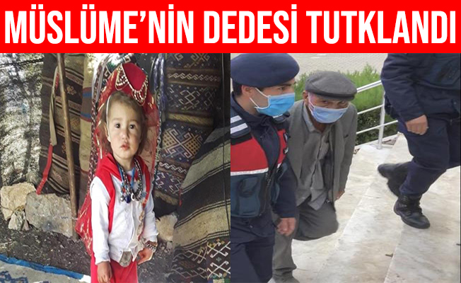 Yörük kızı Müslüme'nin dedesi tutuklandı