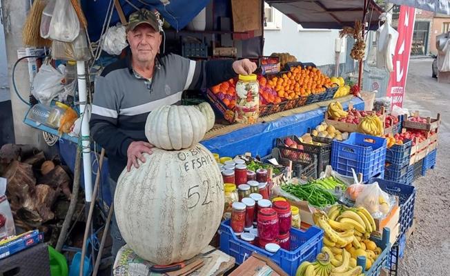 52 kiloluk dev kabak görenleri şaşırtıyor