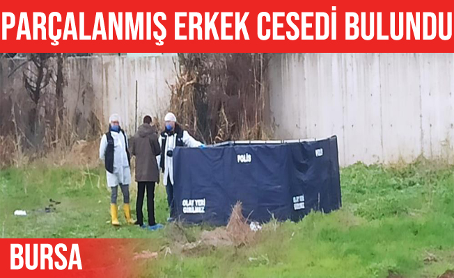 Bursa'da parçalanmış erkek cesedi bulundu