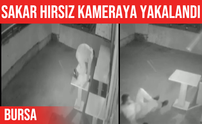 Bursa'daki sakar hırsız kameralara yakalandı