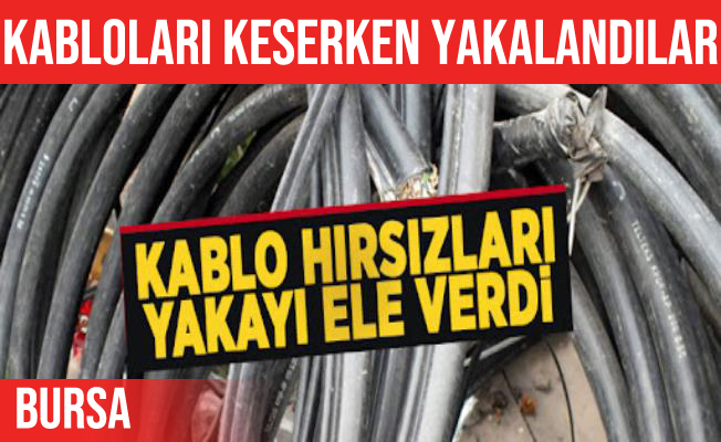 Bursa İznik'teki Kablo Hırsızları Suçüstü Yakalandı