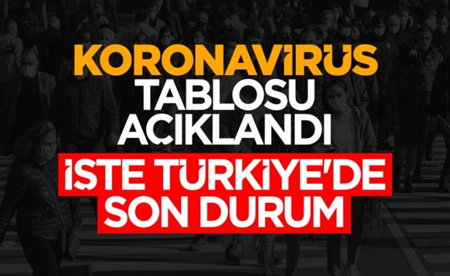 Türkiye Koronavirüs Tablosu: 28 Aralık 2021