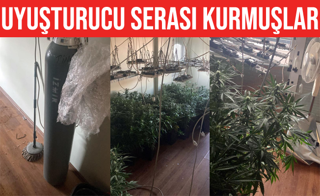 Villaya uyuşturucu serası kurmuşlar