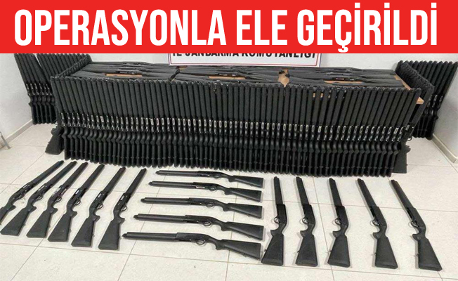 Yüksekova ve Şemdinli'de çok sayıda av tüfeği ele geçirildi