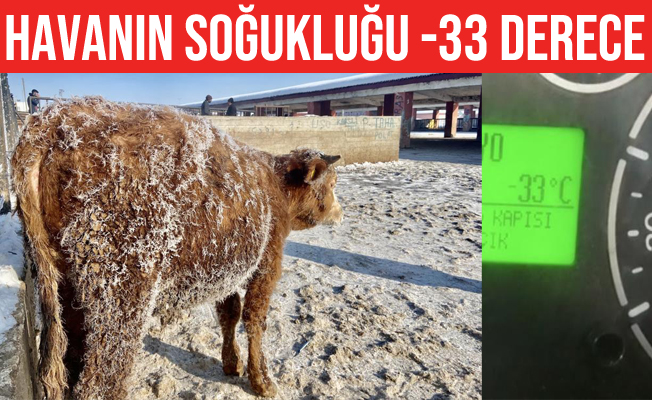 Ağrı'da hava soğukluğu eksi 33 dereceye ulaştı