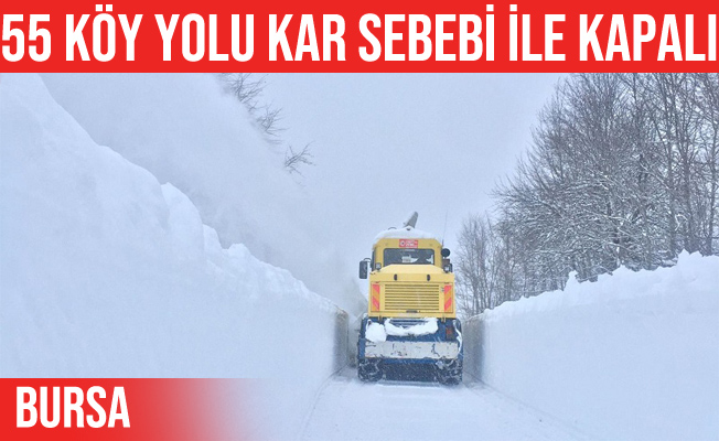 Bursa'da 55 köy yolu kar nedeniyle kapalı