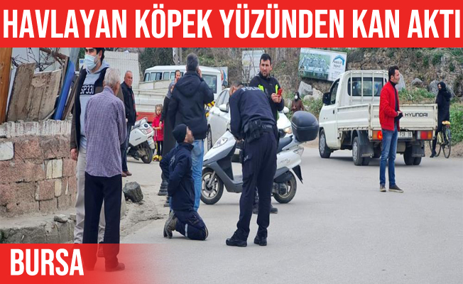 Bursa'da köpek havlıyor diye komşusunu sırtından bıçakladı