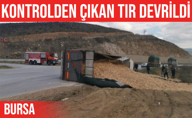 Bursa'da talaş yüklü tır devrildi: 1 yaralı