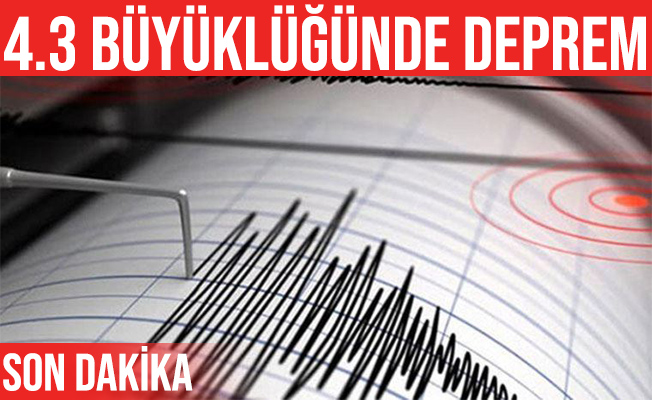 İzmir açıklarında 4.3 büyüklüğünde deprem oldu