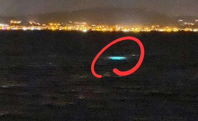 İzmir'de kaçak deniz patlıcanı avı operasyonu