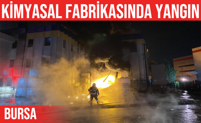 Nilüfer'de kimya fabrikasında yangın çıktı