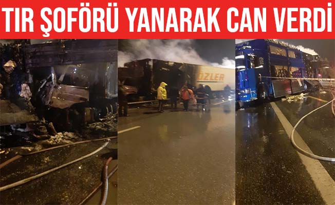 Tır şoförü yanarak hayatını kaybetti