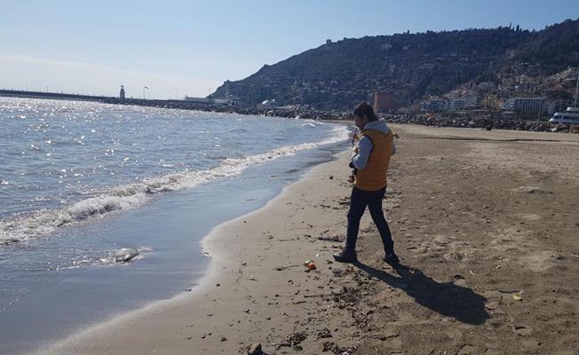 Alanya'da deniz anaları sahile vurdu