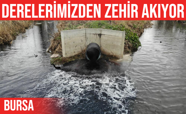 Bursa'da derelerden su yerine zehir akıyor