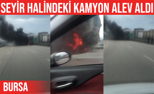 Bursa'da seyir halindeki kütük yüklü kamyon alev alev yandı
