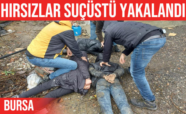 Bursa’daki çelik kasa hırsızları suçüstü yakalandı