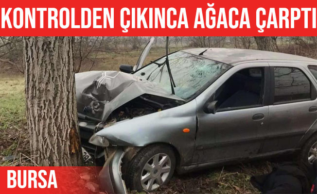 İnegöl'de yoldan çıkan otomobil ağaca çarptı