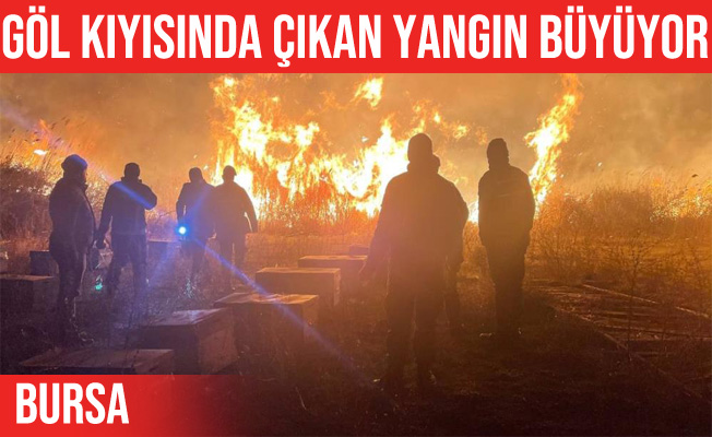 İznik Gölü kıyısında çıkan yangın devam ediyor