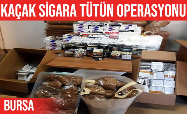 Mudanya'da kaçak sigara operasyonu