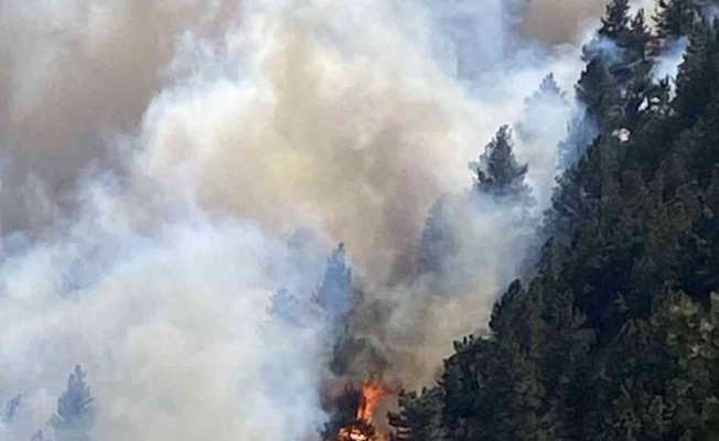 ABD’nin Colorado eyaletinde orman yangını nedeniyle 19 bin kişi tahliye edildi