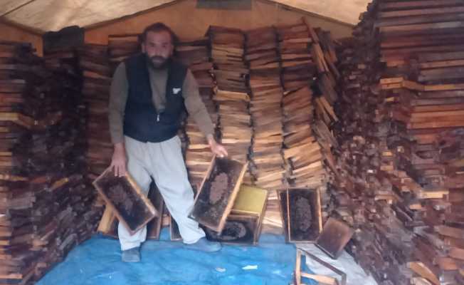 Adana’da 500 kovandaki binlerce arı telef oldu