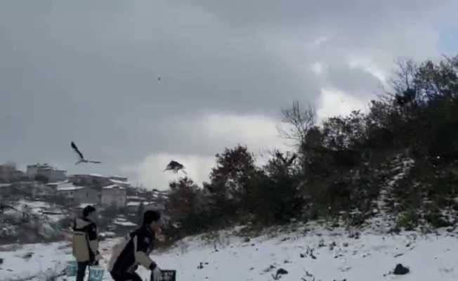 Afrika’dan Avrupa’ya göç ederken Ümraniye’de mola veren leylek sürüsünü belediye ekipleri besledi