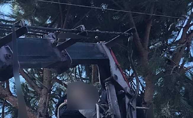Ağaç budarken elektrik akımına kapılan kişi hayatını kaybetti