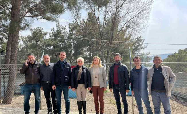 AK Parti grubu, pitbulların birbirini parçaladığı barınağı inceledi