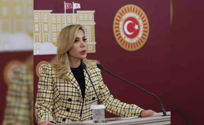 AK Parti Muğla Milletvekili Gökcan’ın 18 Mart Çanakkale Zaferi mesajı