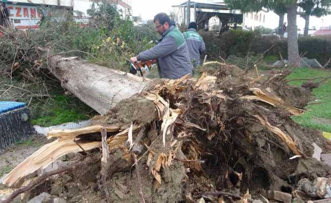 Antalya’da hortumun vurduğu mahallede dehşet gün ağarınca ortaya çıktı