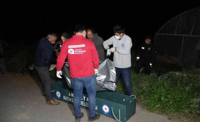 Antalya’da yaşlı adam serada ölü bulundu, ortağı gözyaşlarını tutamadı