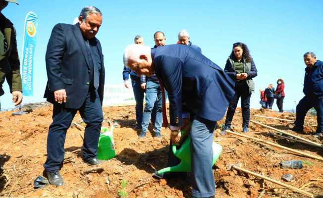 Avni Burak Yenice için hatıra ormanı