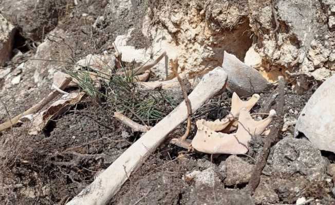 Azerbaycan’ın Ferruh köyünde yeni insan iskeletleri bulundu