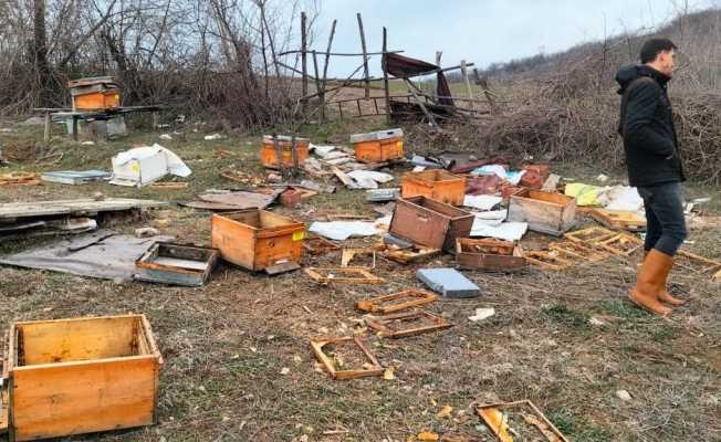 Baba yadigarı idi, gördükleri manzara ile şoke oldular