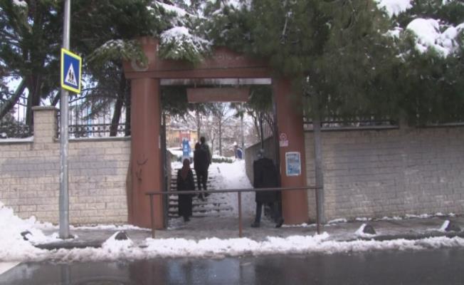 Bağcılar Belediyesi karda yiyecek bulamayan sokak hayvanlarını besledi