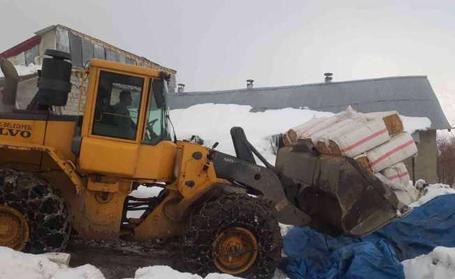 Belediye ekipleri aç kalan hayvanlar için seferber oldu