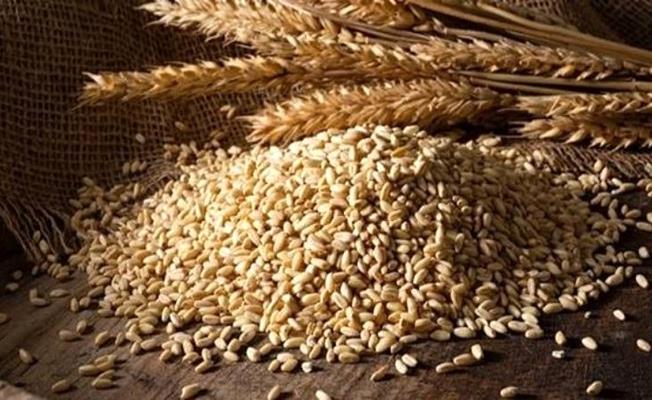 Besiciler için TMO’da ucuz arpa başvuruları başladı