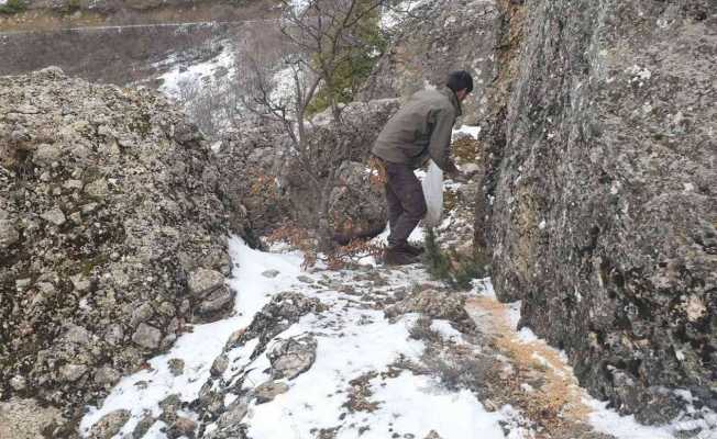 Bingöl’de ekipler 2 ayda doğaya 25 ton yem bıraktı