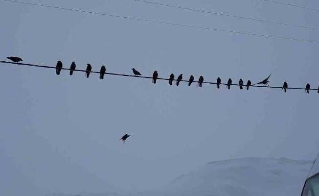 Bitlis’te bu kış 9 metrelik kar yağdı