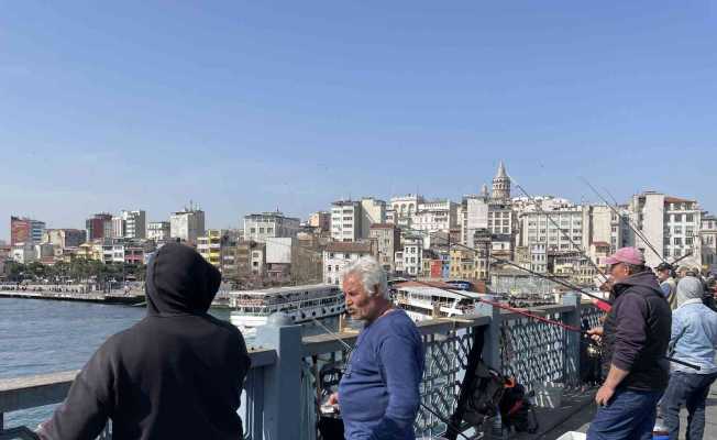 Boğaz’da dikkat çeken istavrit bolluğu