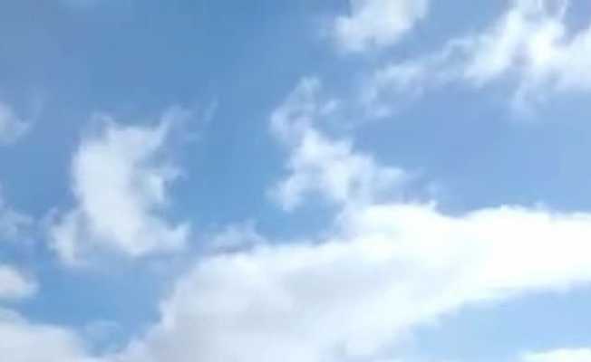 Bolu’da aç kalan yılkı atları beslendi